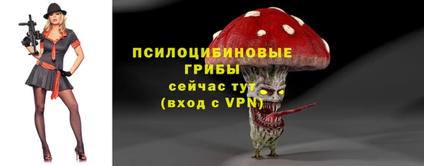 мдма Медвежьегорск
