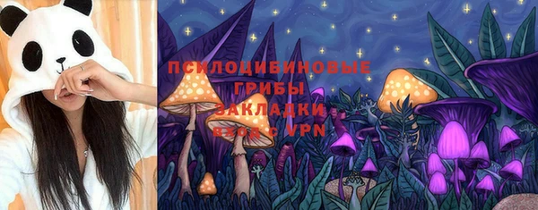 мдма Медвежьегорск