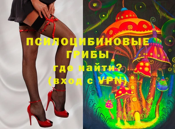 дживик Медногорск