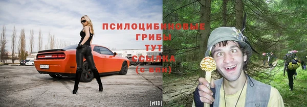 дживик Медногорск